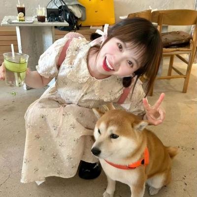 燃爱之高岭之花